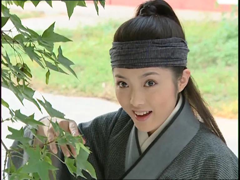 少年包青天 2000年古装悬疑剧 80后90后童年回忆_包青天93版下载