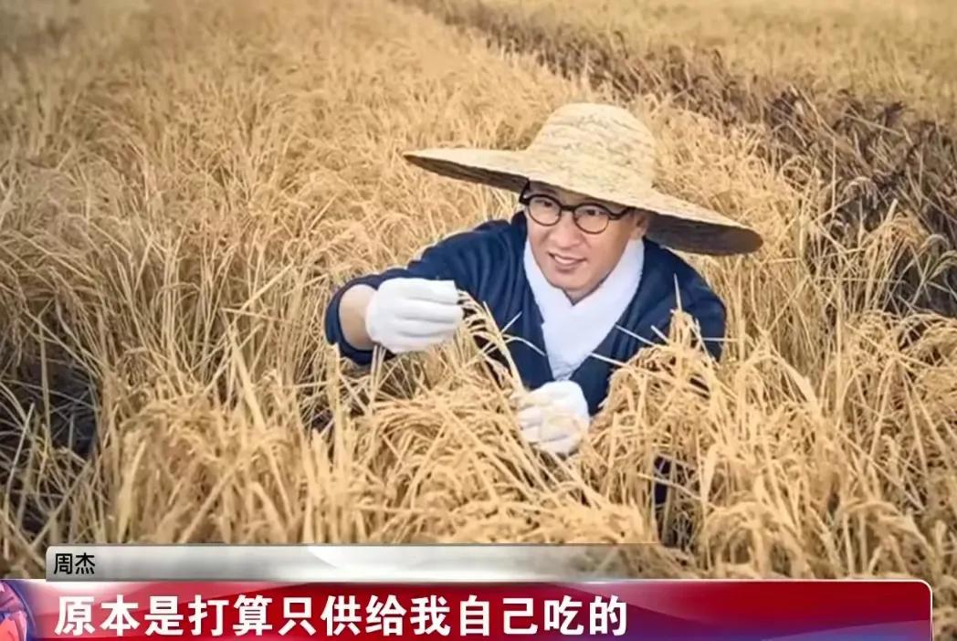 包青天93版下载_少年包青天 2000年古装悬疑剧 80后90后童年回忆