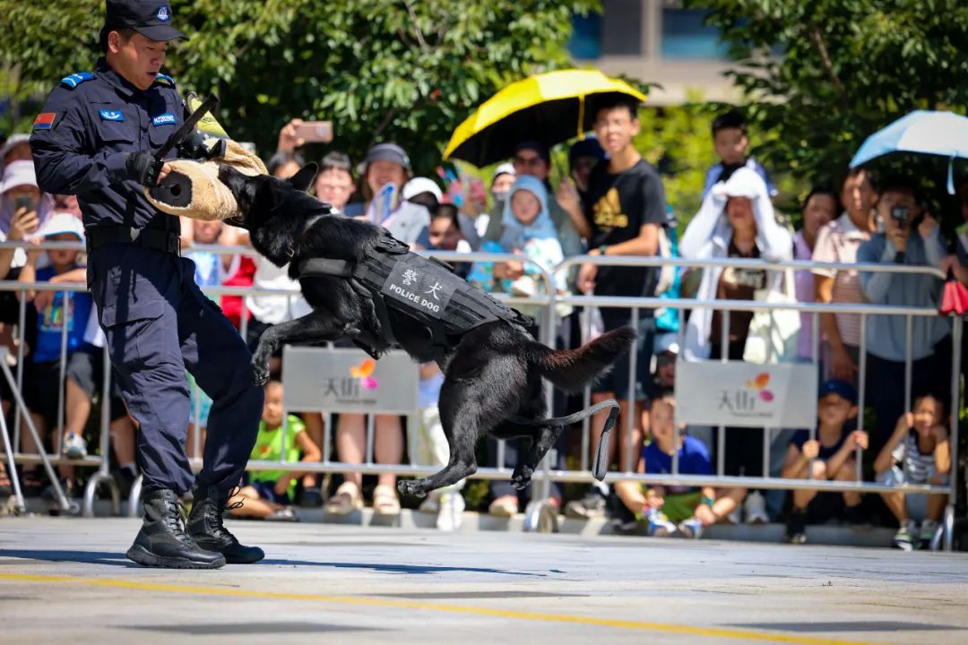 大开眼界迅雷下载_大开眼界迅雷下载_大开眼界迅雷下载