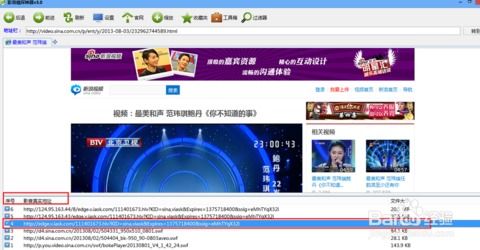 新浪视频下载方法大揭秘，轻松获取喜欢的视频
