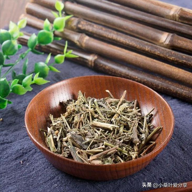 农村河边不起眼植物农吉利，价值珍贵却越来越难找