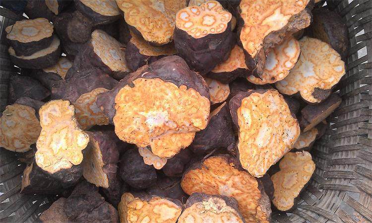 何首乌主要成分_何首乌用途_中草药图谱大全下载