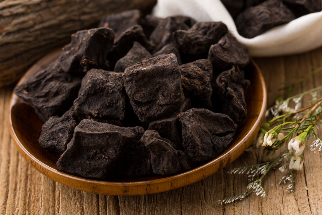 何首乌用途_何首乌主要成分_中草药图谱大全下载